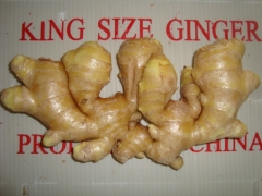 Air dried ginger