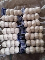 Pure White Garlic 4pcs/bag, 10kg/bag
