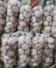 Normal White Garlic, 1kgx10bags/carton