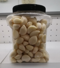 Peeled Garlic