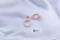 Champagne Gold Circle Earring