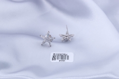 Silver Star Zircon Stud Earring