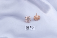 Champagne Gold Stud Earring with Zircon