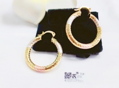 Earrings Colorblock Copper