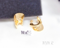 Earrings Gold Irregular