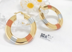 Earrings Colorblock Polished