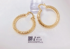 Earrings gold irregular