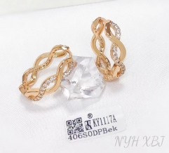 Earrings Gold Irregular