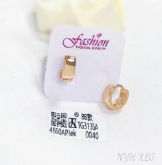 Earrings Gold Polished