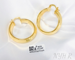 Earrings Gold Silver Polished