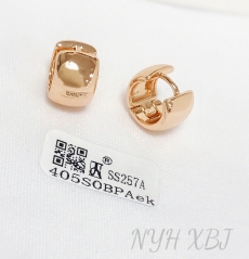 Earrings Gold Polished