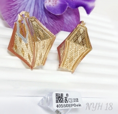 Earrings gold irregular hollow