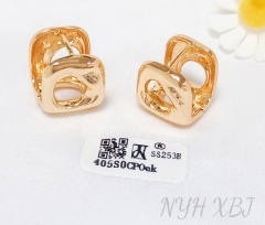 Earrings gold irregular