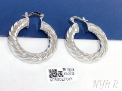 Earrings Gold/Silver Polished