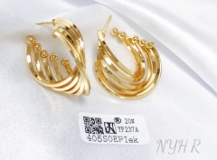 Earrings Gold Polished Irregular