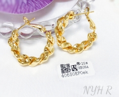 Earrings Gold Irregular