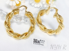 Earrings Gold Irregular