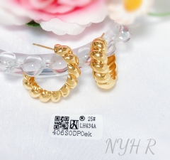 Earrings Gold Irregular