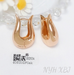 Earrings Gold Polished