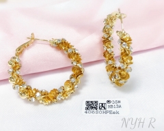 Earrings Gold Irregular