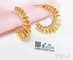 Earrings Gold Polished