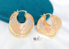 Earrings Gold Hollow