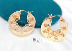 Earrings Gold Hollow