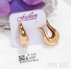 Earrings Gold Polished