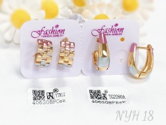 Earrings Colorblock Polished