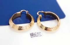 Earrings Gold Polished