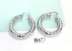 Earrings Silver Polished