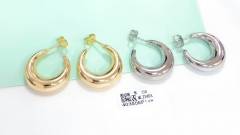 Earrings Gold/Silver Polished