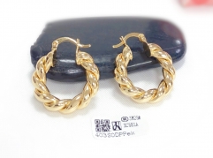 Earrings Gold Polished