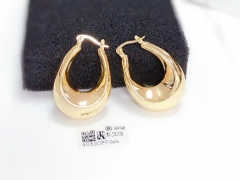 Earrings Gold/Silver Polished