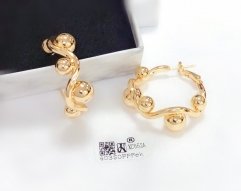 Earrings Gold Polished Special