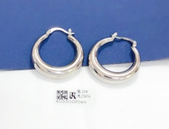 Earrings Gold/Silver Polished