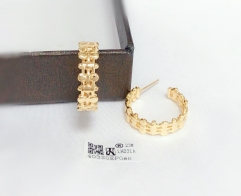 Earrings Gold Polished Irregular