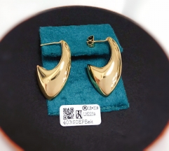 Earrings Gold Polished