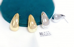 Earrings Gold/Silver Polished