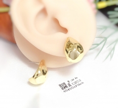 Earrings Gold/Silver Polished