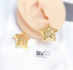 Earrings Gold/Silver Polished