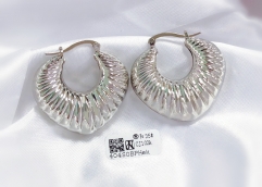 Earrings Gold/Silver Polished