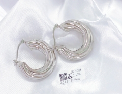 Earrings Silver Polished