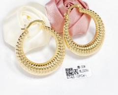 Earrings Gold Polished