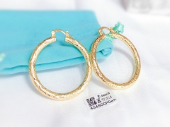 Earrings Gold Polished