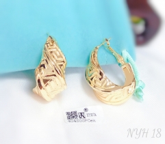 Earrings Gold/Silver Polished