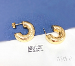 Earrings Gold/Silver Polished