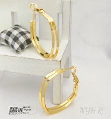 Earrings Polished Irregular