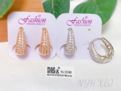 Earrings Full Diamond Irregular Design