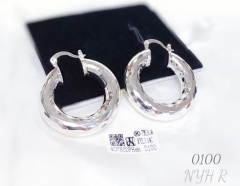 Earrings Silver  Glossy